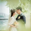 꽃을담다 - 광양시 와룡길 33 | 꽃을담다