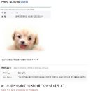 디씨