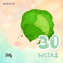 CU전주삼례로 | 조금 늦은 30주차 임신 증상 및 임산부 일상 :D