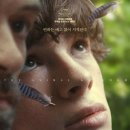 미키루키 | 2025년 영화 결산 및 평점 정리