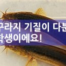 덕원상회 이미지