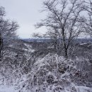 배산(91m)봉화봉(232)군자산(328m)아자산(185)깃대봉(155)망곡산(145) 청화산(189m) 듬뫼산(165m)/경기연천 이미지