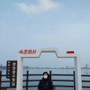 영랑공인중개사사무소 이미지