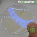 1001안경 위드렌즈(독산점) | 금천구 안경원 초등학생 우리 아이 급격한 시력 저하, 에실로 스텔리스가 답일까?