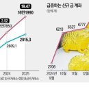 한국 금 가격, 국제 금 가격과 괴리율 20% 이미지