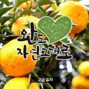 청학동참살이마을 이미지