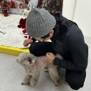 해오름유치원 | [멍균관대] 단대오거리 애견미용, 애견 호텔, 유치원 프리미엄 시설 / 상대원 애견미용 후기