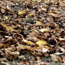 산장노래방 이미지