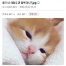짚모텔 이미지