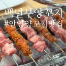 백년부양꼬치 이미지