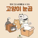 눈이튼튼 동물병원 이미지