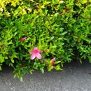 석암농장 이미지