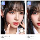 데일리안경원 위드렌즈 이미지