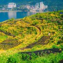 진성 마을회관 이미지