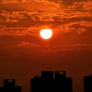 집찾아가는 해를 따라가 보니 그곳에 임영웅이 있음이라~ 이미지