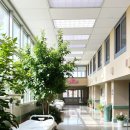 수내본정형외과의원 | 🏥 수내본정형외과의원 약 먹을때 궁금한 점 3가지