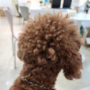 네일쏘영