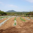 14-1코스 이미지