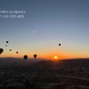 국제특송여객운송