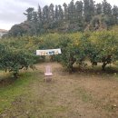 철제농장 이미지