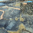 제주 행정사 사무소 이미지