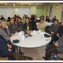 강신성일 카카오 검색결과