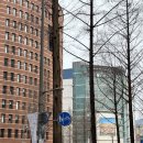 동부주공아파트경로당 | 상계주공3단지아파트 임장 후기 재건축 가능성?