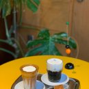 앤트카페 이미지