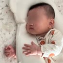 강성체육관 본관 | 우리는 과연 좋은 부모일까? 생후 200일까지의 기록