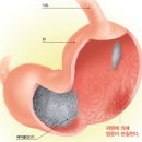로얄에이알씨(주) 이미지