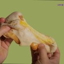 수원-1842 | [수원 맛집] 오테이블 광교앨리웨이 본점 수원 맛집 오테이블, 신선한 재료의 정통 이탈리안