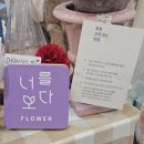 너를보다플라워 이미지