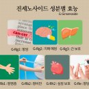 강화삼보인삼