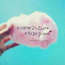 닭이야기