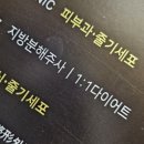 전의의원 | [허벅지지방분해주사] 내돈내산 하프클리닉의원 5주간의 후기 변화 기록👸🏻🪄