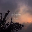 광호