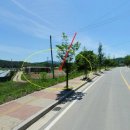 창수초교 이미지