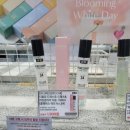 와이케이 더블유 이미지