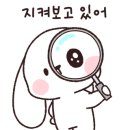 화담족발 이미지