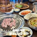 도전목장 | 별내 고기집 추천 싱싱목장 한돈 항정살 목살 후기