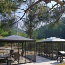 양평숲 비룡캠프장 이미지