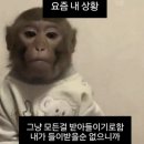 종로 마운자로 성지 가격 진료후기ㅍㅁㅇㅇㅇ 위고비 이겨버린 썰