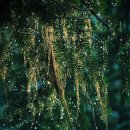 안중사회복지요양원 이미지