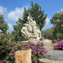 대바위농장 이미지