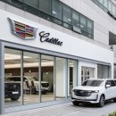 논현모터스 이미지