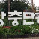 동네족발 이미지