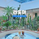 라또아플라워 | 여수엑스포역 근처 대형 베이커리카페 주차부터 맛 뷰까지 완벽
