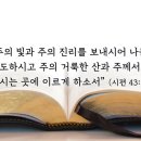 영성약국 이미지