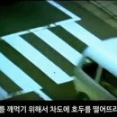 자기팀이 축구못해서 팬들이 분노를 표현하는 방법 이미지