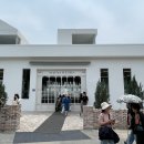 라벤더 까페 | [내돈내산] 양산 라벤더 카페 &#34;느티나무의 사랑&#34; 솔직 후기! (오픈런 필수?)